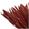 Dried Plant Bamboo Natural Foliage with Long Stems